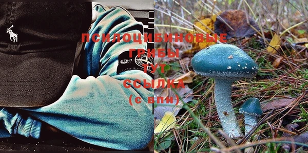 MESCALINE Верхний Тагил