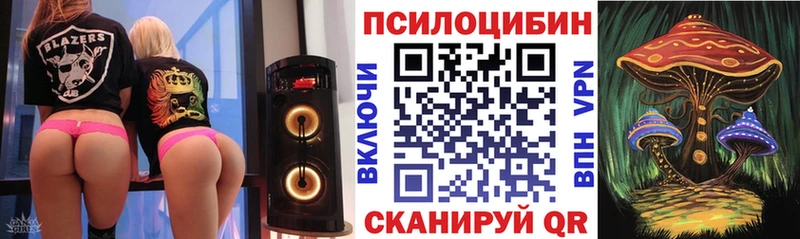 KRAKEN ТОР Новотроицк Галлюциногенные грибы Psilocybine cubensis